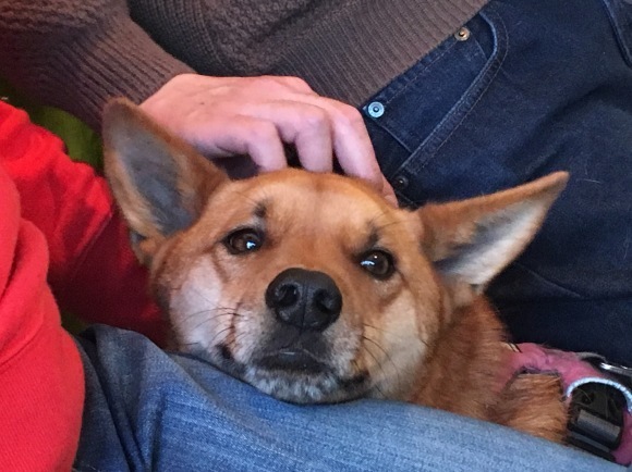 c0123890_19331059.jpeg