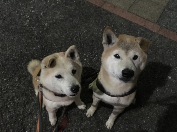 c0123890_19341236.jpeg