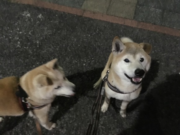 c0123890_19345014.jpeg