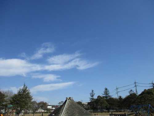 d0333091_1856356.jpg