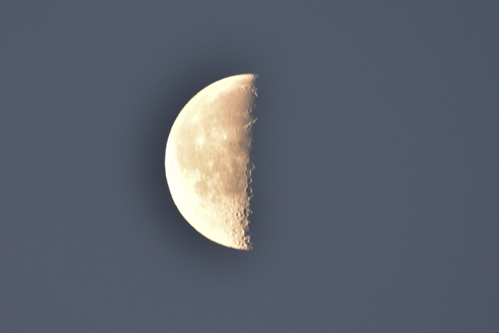 c0049299_22063685.jpg