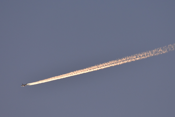 c0049299_22085587.jpg