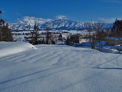 c0336902_20373627.jpg