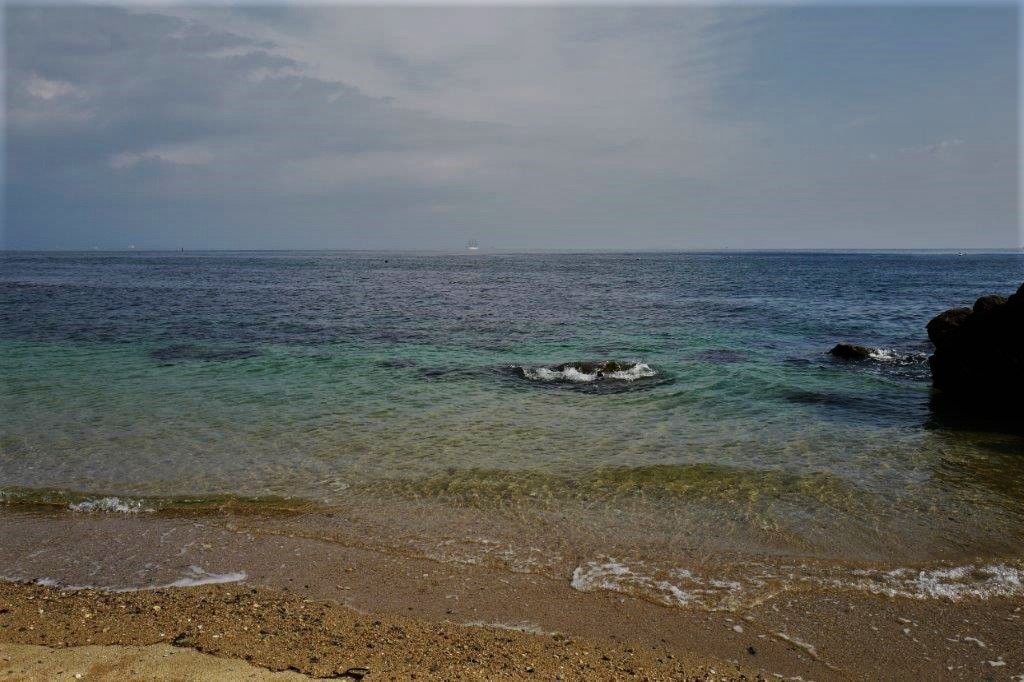 f0365212_22454379.jpg