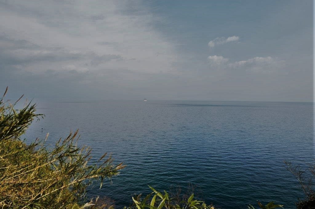 f0365212_22455028.jpg