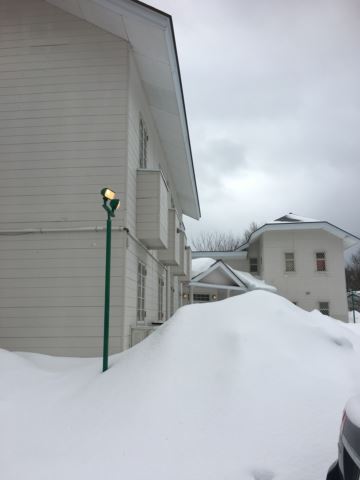 c0114121_1742896.jpg