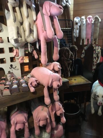 c0114121_22372030.jpg