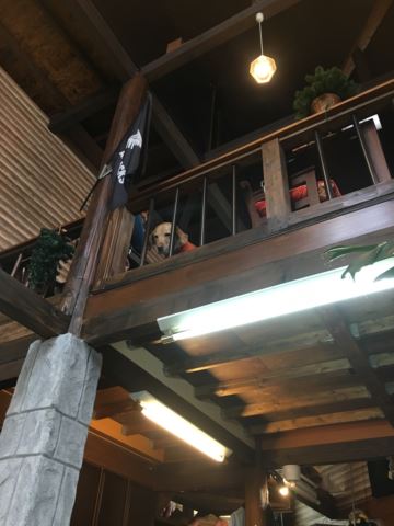 c0114121_23504890.jpg
