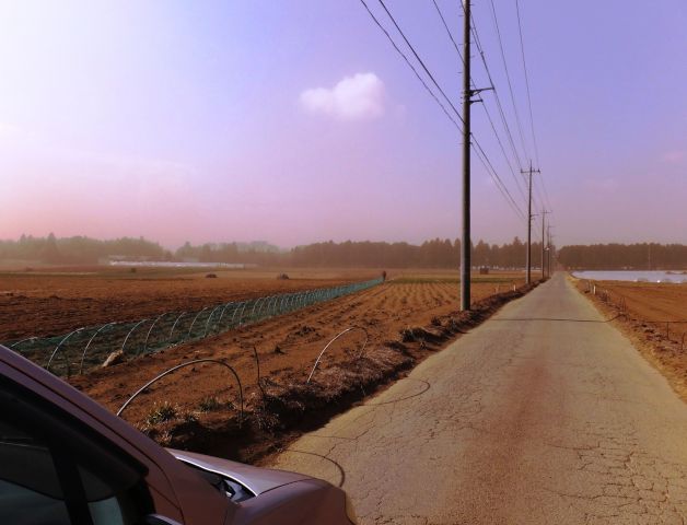 a0166324_18253754.jpg