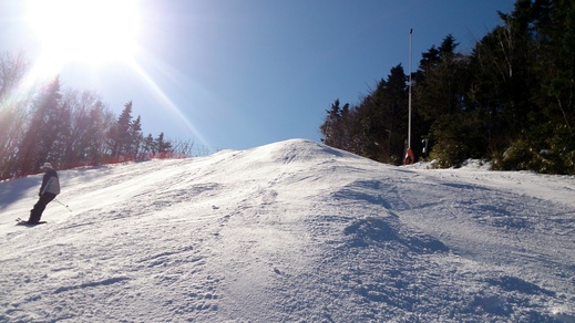 b0001324_11533088.jpg