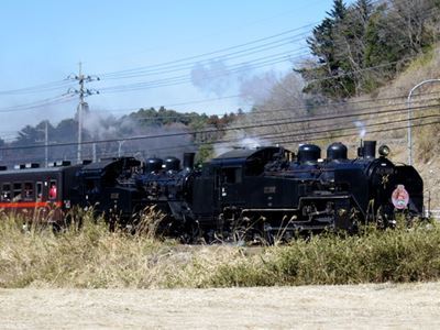 b0220251_18462875.jpg