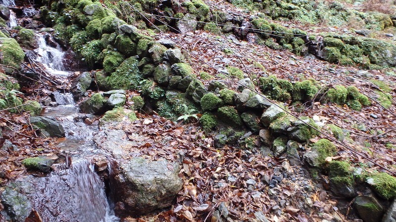 c0097754_22084634.jpg
