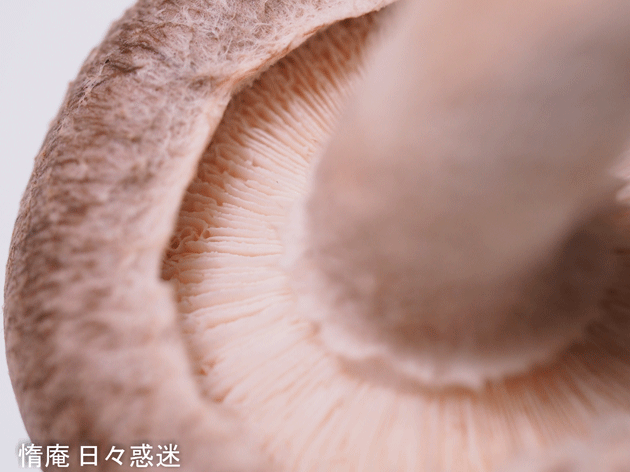 e0346064_16093352.gif