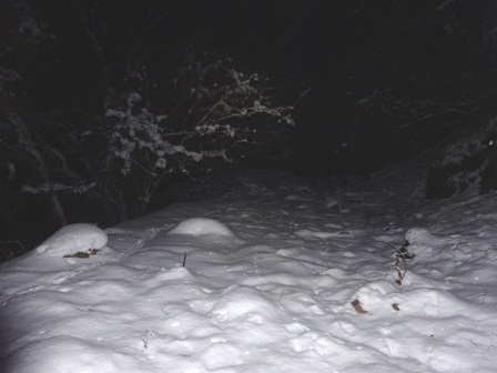 c0303868_13421717.jpg