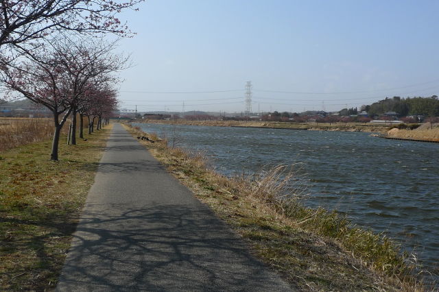 a0113874_16100530.jpg