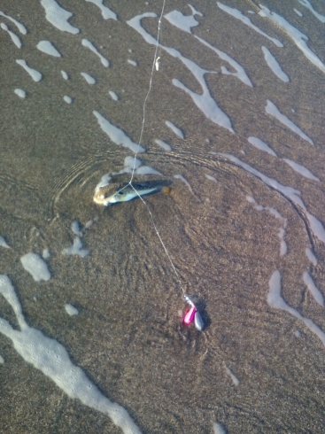 e0026583_18291379.jpg