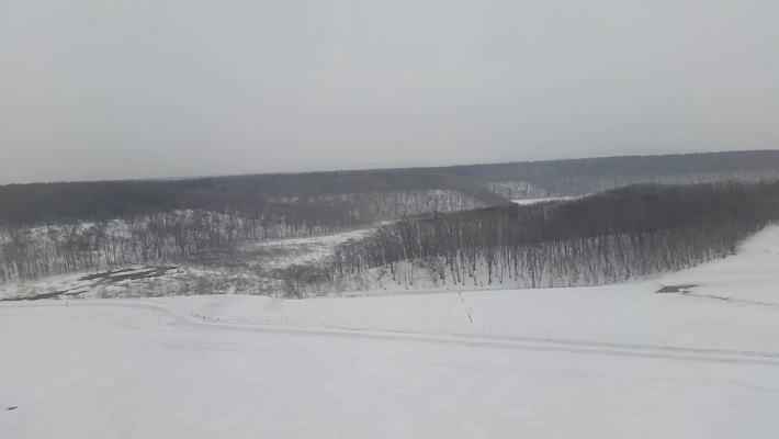 b0160300_105247.jpg