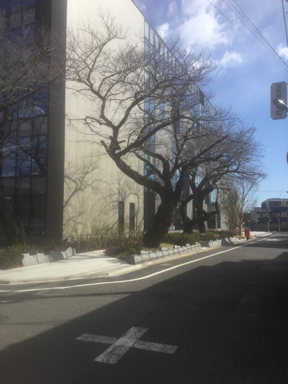c0072801_1301630.jpg
