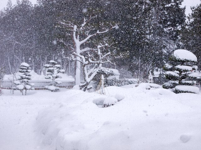 c0008502_14561030.jpg