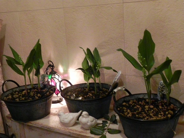 c0152002_18142525.jpg