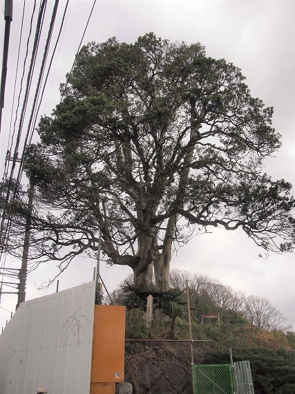 e0245404_12471067.jpg