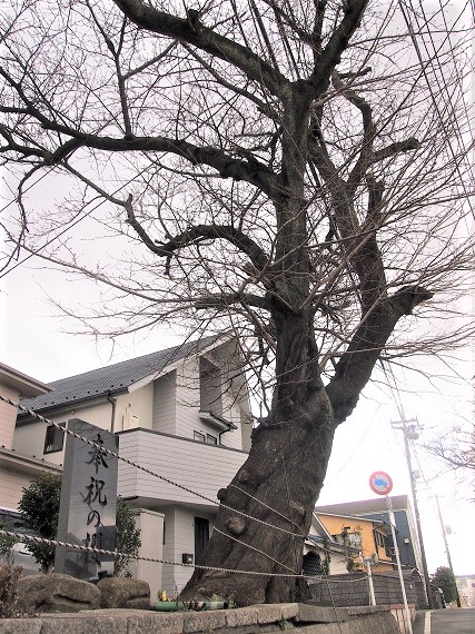 e0245404_12515494.jpg