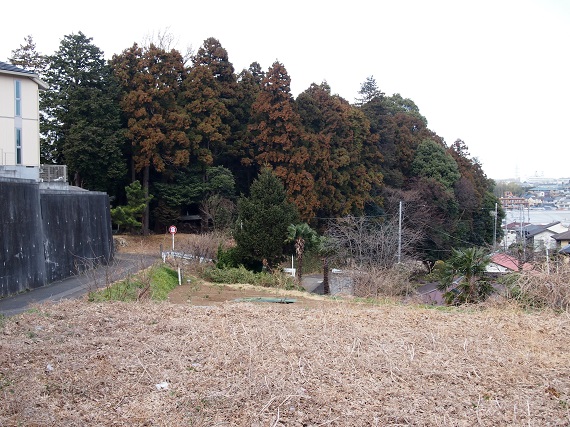 e0245404_8222919.jpg