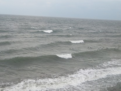 f0325309_11121469.jpg