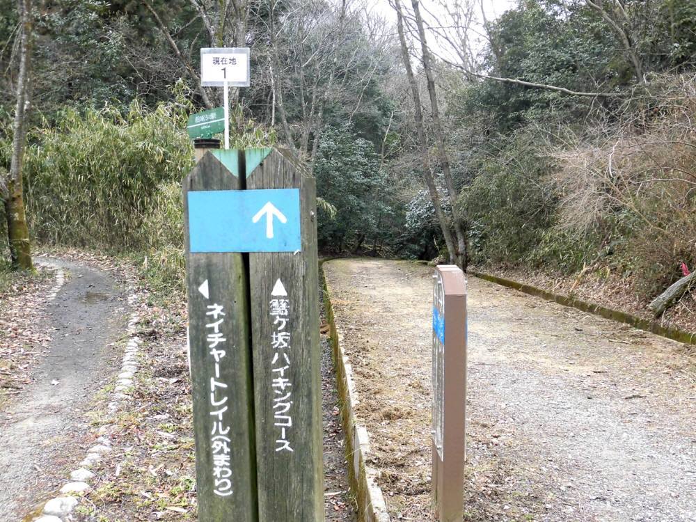 f0212511_22375206.jpg