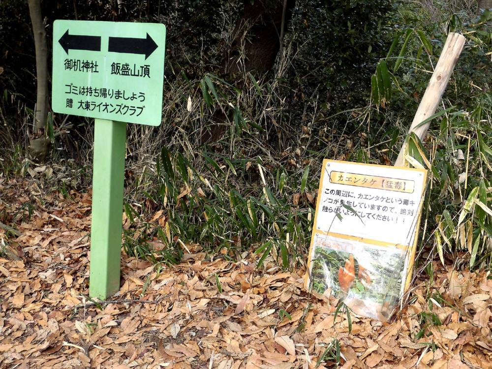 f0212511_22380551.jpg