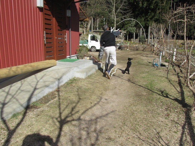 f0341616_15511485.jpg