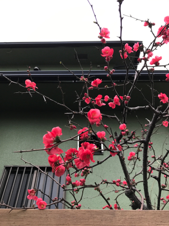 a0118918_01030617.jpg