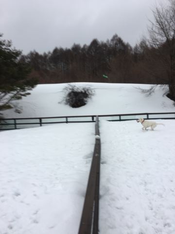 c0114121_0245735.jpg