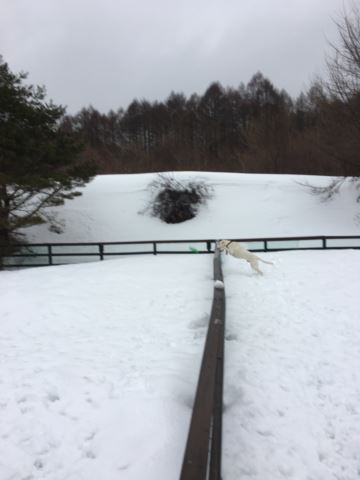c0114121_0252462.jpg