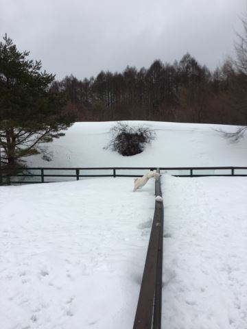 c0114121_0253375.jpg