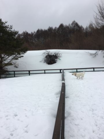 c0114121_025549.jpg