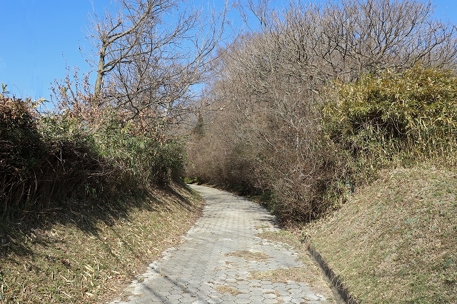 a0242438_20083012.jpg