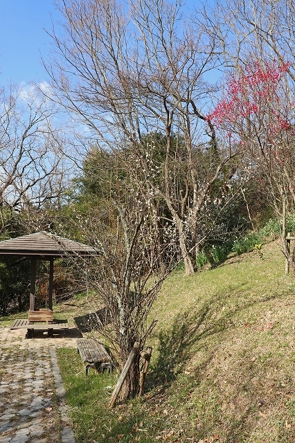 a0242438_20083148.jpg