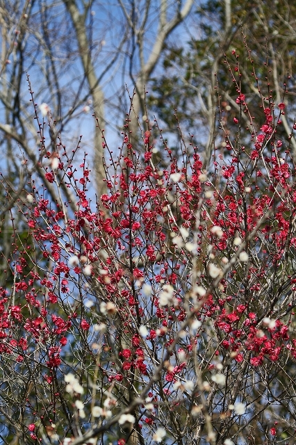 a0242438_20084106.jpg