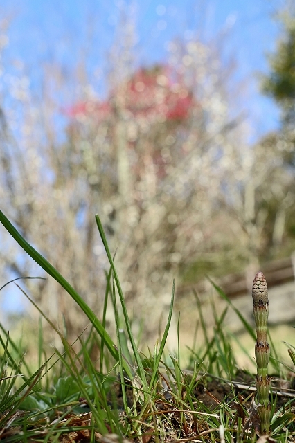 a0242438_20103242.jpg