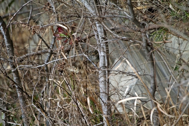 a0242438_20103334.jpg