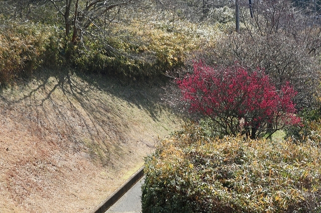 a0242438_20104051.jpg
