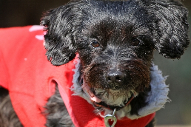 a0242438_20104194.jpg