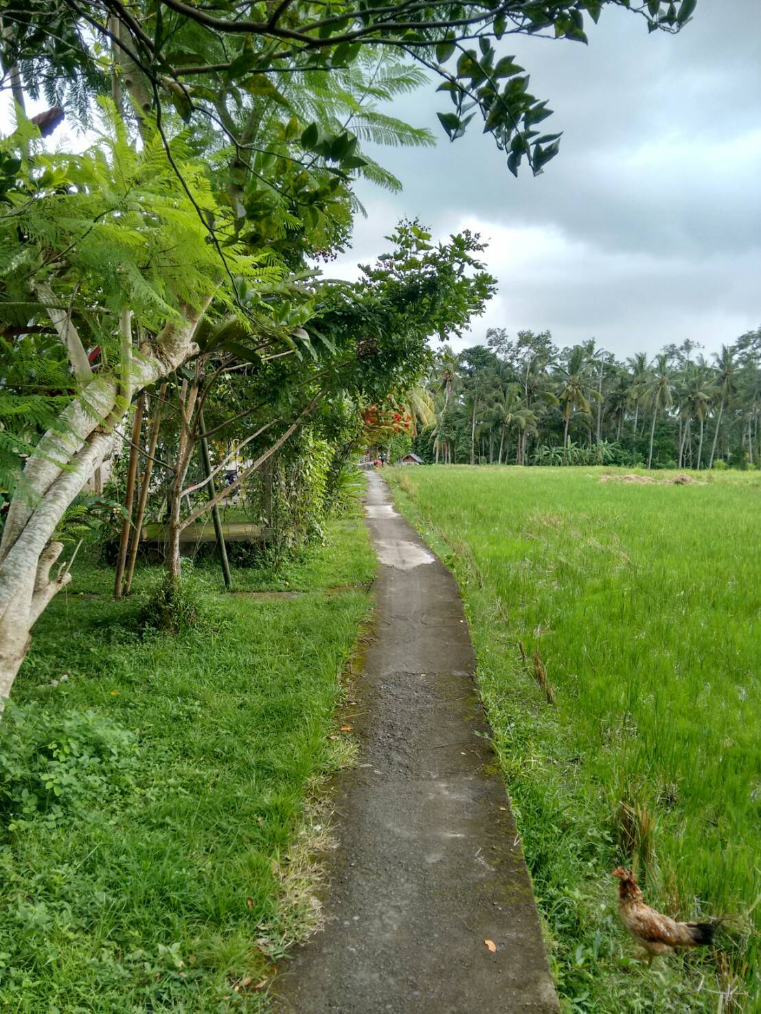 f0088639_13171773.jpg