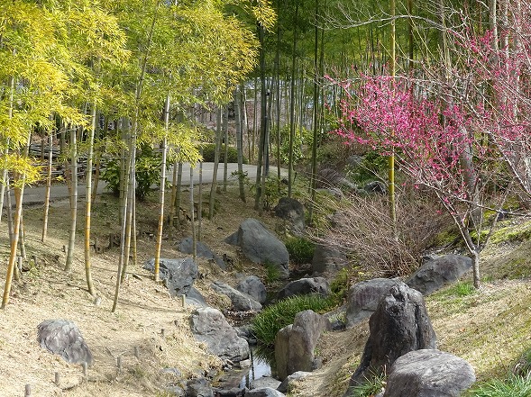 b0299042_132207.jpg