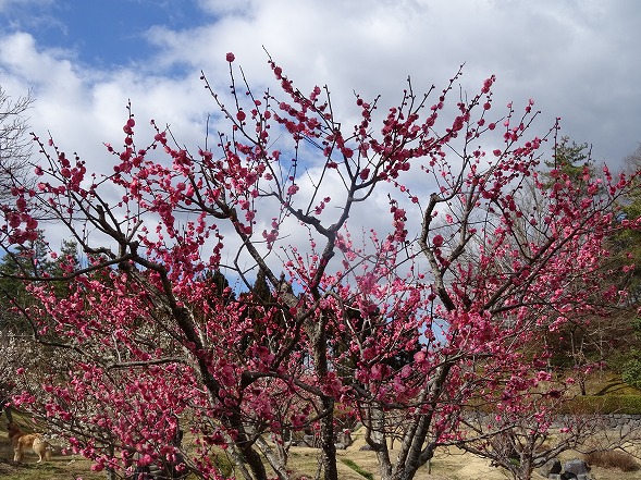 b0299042_13226100.jpg