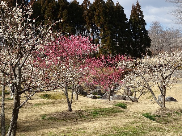 b0299042_1323923.jpg