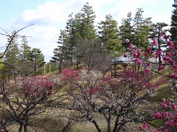 b0299042_1325073.jpg