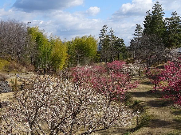 b0299042_1325682.jpg