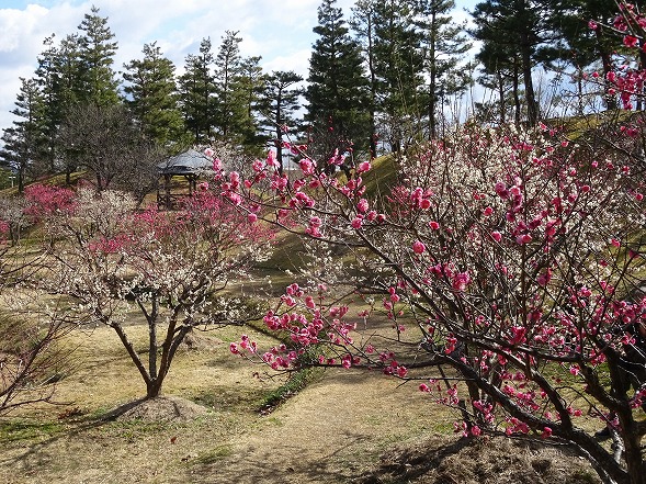 b0299042_1331971.jpg